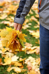 Similar image 21091657