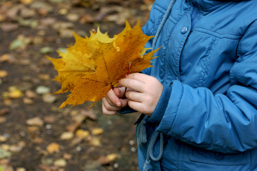 Similar image 21091659