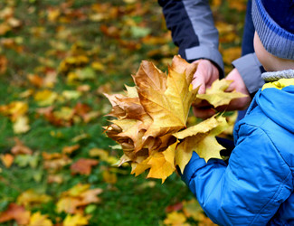 Similar image 21091663