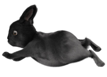 Similar image 21088098