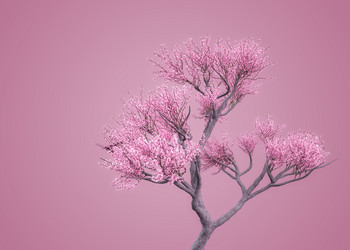 Similar image 21088045