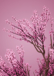 Similar image 21088046