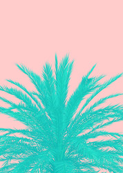 Similar image 21088049