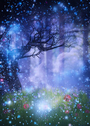 Similar image 21088063