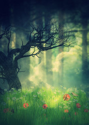 Similar image 21088064