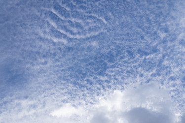 Similar image 21117273