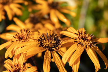 Similar image 21117274