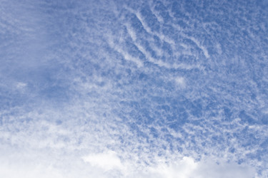 Similar image 21117275