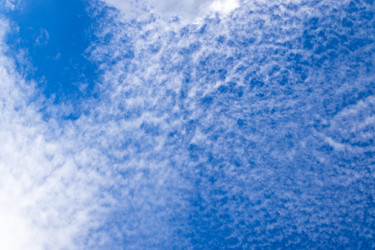 Similar image 21117276