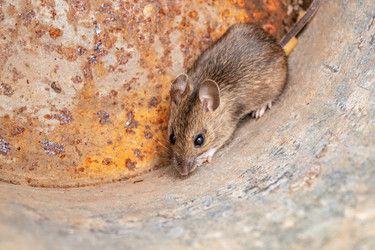 Similar image 21117287