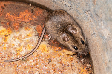 Similar image 21120184