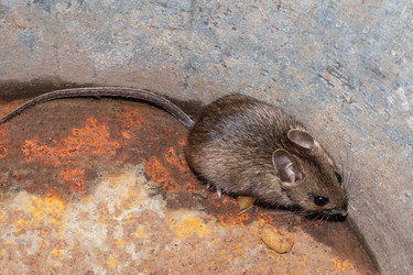 Similar image 21120185