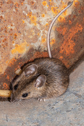 Similar image 21120186