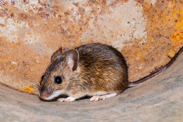 Similar image 21120189