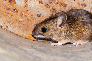 Similar image 21120191