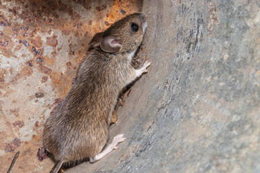 Similar image 21120192