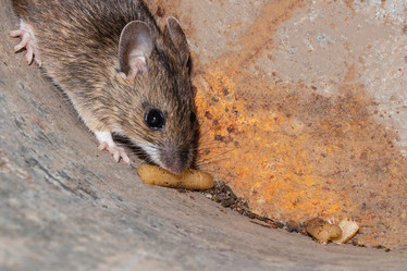 Similar image 21120193