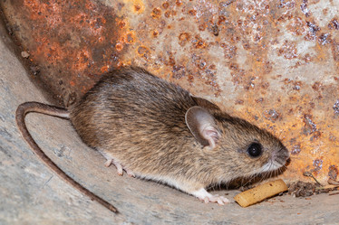 Similar image 21120195