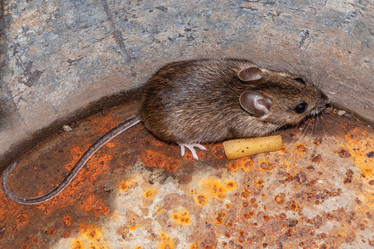 Similar image 21120196