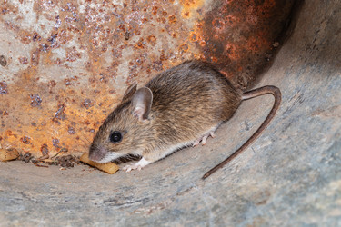 Similar image 21120197