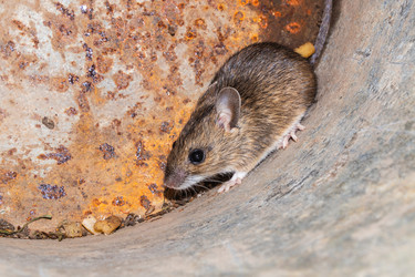 Similar image 21120198