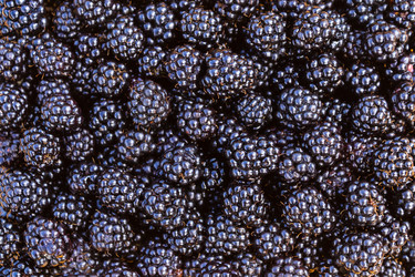 Similar image 21120201