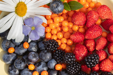 Similar image 21120202