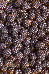 Similar image 21120203