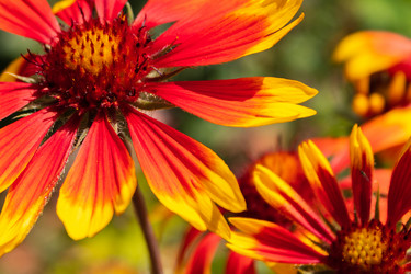 Similar image 21120207