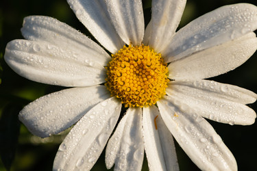 Similar image 21120213