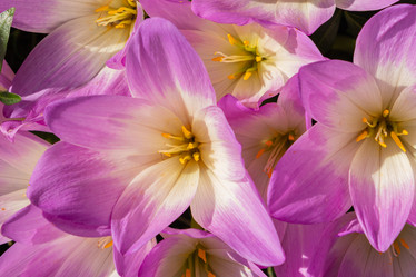 Similar image 21120214