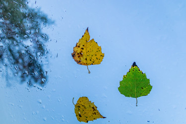 Similar image 21120575