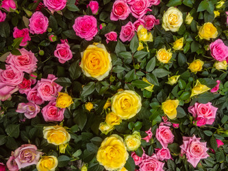 Similar image 21120580