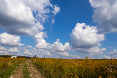 Similar image 21120664