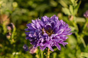 Similar image 21120670