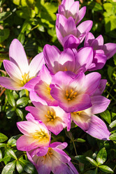 Similar image 21120672