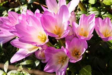 Similar image 21120673