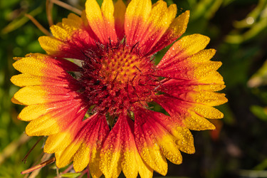 Similar image 21120674