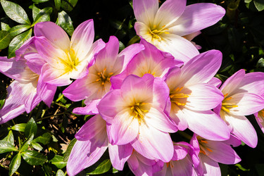 Similar image 21120675