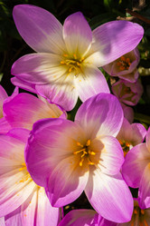 Similar image 21120676