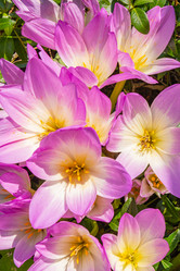 Similar image 21120677