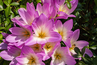 Similar image 21120679