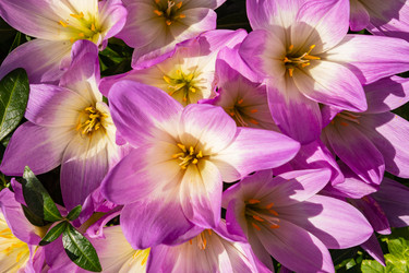 Similar image 21120680