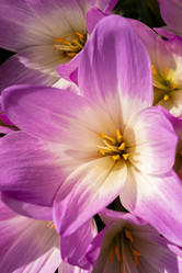 Similar image 21120681