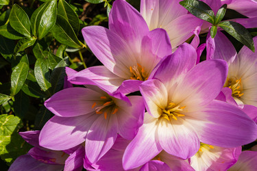 Similar image 21120683