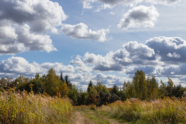 Similar image 21120982