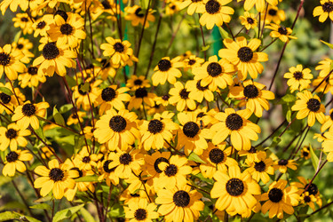 Similar image 21120984