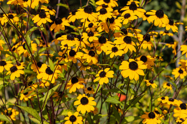 Similar image 21120987