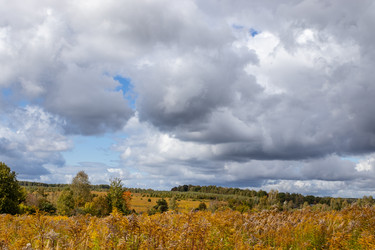 Similar image 21120989