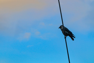 Similar image 21120990